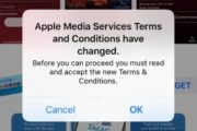 Wegen AGB-Änderung: iOS App Store in Endlosschleife